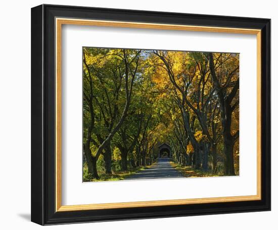 Meems Bottom Covered Bridge, Shenandoah County, Virginia, USA-Charles Gurche-Framed Photographic Print