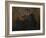 Meendo-Fabio Panichi-Framed Photographic Print