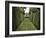 Meenyx-Tim Kahane-Framed Photographic Print