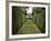 Meenyx-Tim Kahane-Framed Photographic Print