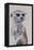 Meerkat 1, 2009-Odile Kidd-Framed Premier Image Canvas