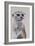 Meerkat 1, 2009-Odile Kidd-Framed Giclee Print