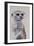 Meerkat 1, 2009-Odile Kidd-Framed Giclee Print