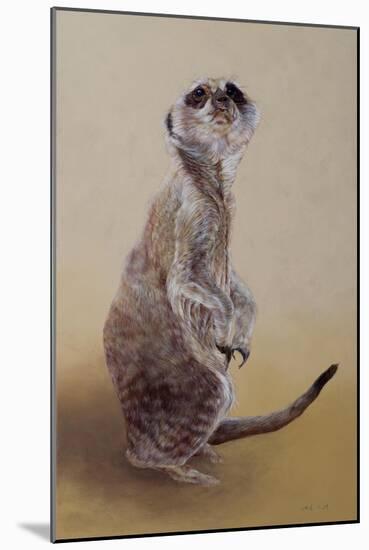 Meerkat 2, 2010-Odile Kidd-Mounted Giclee Print