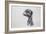 Meerkat, 2016-Lou Gibbs-Framed Giclee Print