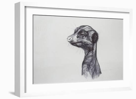 Meerkat, 2016-Lou Gibbs-Framed Giclee Print