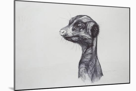 Meerkat, 2016-Lou Gibbs-Mounted Giclee Print