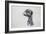 Meerkat, 2016-Lou Gibbs-Framed Giclee Print