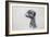 Meerkat, 2016-Lou Gibbs-Framed Giclee Print