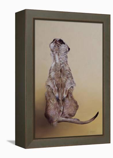 Meerkat 3, 2010-Odile Kidd-Framed Premier Image Canvas