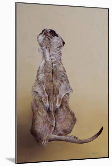 Meerkat 3, 2010-Odile Kidd-Mounted Giclee Print