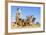 Meerkat Adult Babysitters and Young-null-Framed Photographic Print