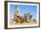 Meerkat Adult Babysitters and Young-null-Framed Photographic Print