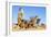 Meerkat Adult Babysitters and Young-null-Framed Photographic Print