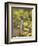 Meerkat, Among Devil's Thorn Flowers, Kgalagadi Transfrontier Park, Northern Cape, South Africa-Toon Ann & Steve-Framed Photographic Print