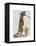 Meerkat Cowboy-Fab Funky-Framed Stretched Canvas