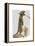 Meerkat Cowboy-Fab Funky-Framed Stretched Canvas