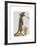 Meerkat Cowboy-Fab Funky-Framed Art Print