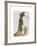 Meerkat Cowboy-Fab Funky-Framed Art Print