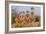 Meerkat Family II-Howard Ruby-Framed Photographic Print