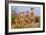 Meerkat Family II-Howard Ruby-Framed Photographic Print