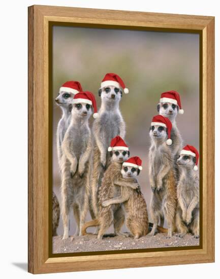 Meerkat Family with Young on the Lookout-null-Framed Premier Image Canvas