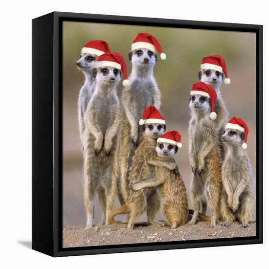 Meerkat Family-null-Framed Premier Image Canvas