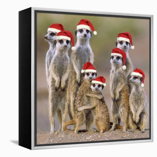 Meerkat Family-null-Framed Premier Image Canvas