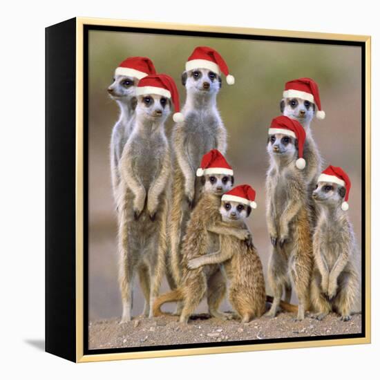 Meerkat Family-null-Framed Premier Image Canvas