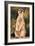 Meerkat Gaze-Howard Ruby-Framed Photographic Print