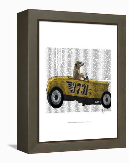 Meerkat in Hot Rod-Fab Funky-Framed Stretched Canvas