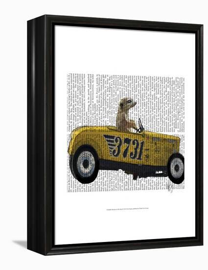 Meerkat in Hot Rod-Fab Funky-Framed Stretched Canvas