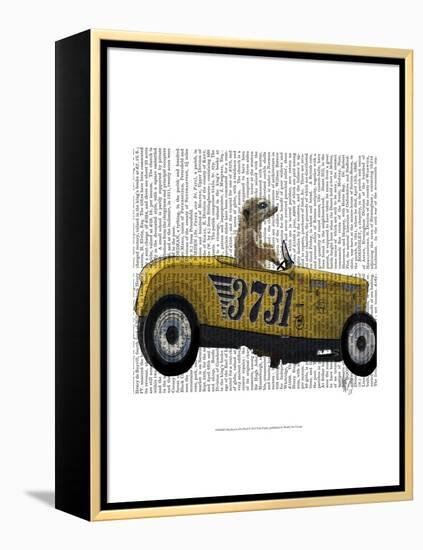 Meerkat in Hot Rod-Fab Funky-Framed Stretched Canvas