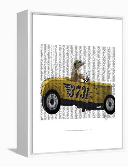 Meerkat in Hot Rod-Fab Funky-Framed Stretched Canvas