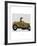 Meerkat in Hot Rod-Fab Funky-Framed Art Print