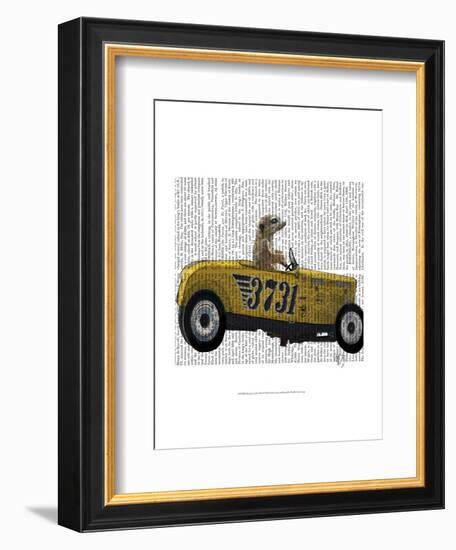 Meerkat in Hot Rod-Fab Funky-Framed Art Print