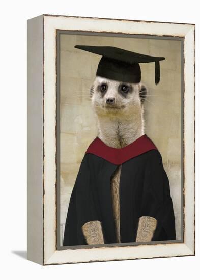 Meerkat in Mortar Board and Gown-null-Framed Premier Image Canvas