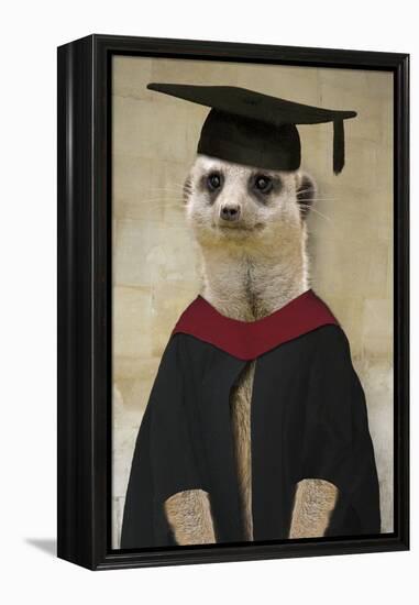 Meerkat in Mortar Board and Gown-null-Framed Premier Image Canvas