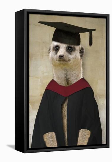 Meerkat in Mortar Board and Gown-null-Framed Premier Image Canvas