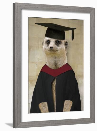 Meerkat in Mortar Board and Gown-null-Framed Photographic Print