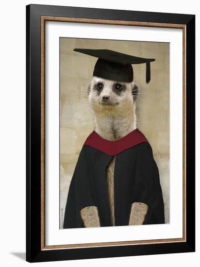 Meerkat in Mortar Board and Gown-null-Framed Photographic Print