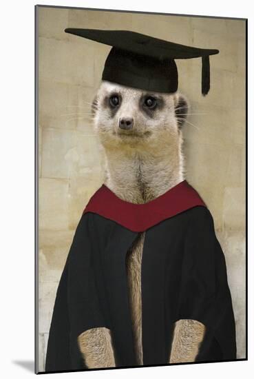 Meerkat in Mortar Board and Gown-null-Mounted Photographic Print