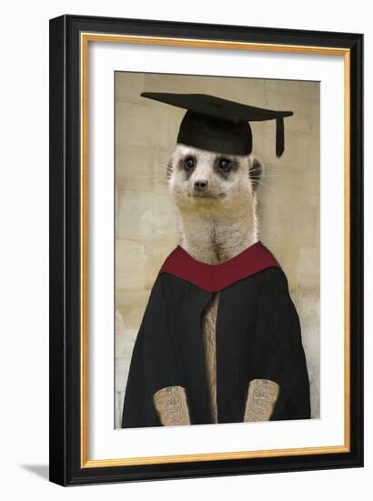 Meerkat in Mortar Board and Gown-null-Framed Photographic Print