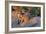 Meerkat Love-Howard Ruby-Framed Photographic Print