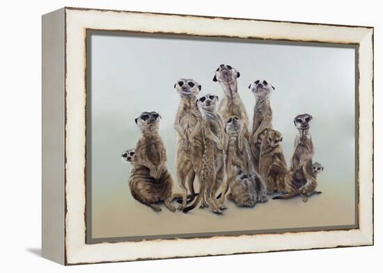 Meerkat mob, sun angels, 2013-Odile Kidd-Framed Premier Image Canvas