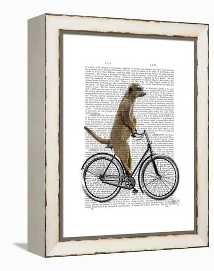 Meerkat on Bicycle-Fab Funky-Framed Stretched Canvas