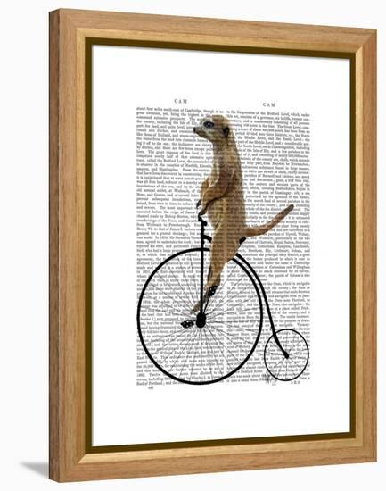 Meerkat on Black Penny Farthing-Fab Funky-Framed Stretched Canvas