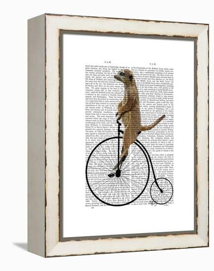 Meerkat on Black Penny Farthing-Fab Funky-Framed Stretched Canvas