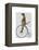 Meerkat on Black Penny Farthing-Fab Funky-Framed Stretched Canvas