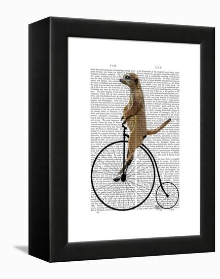 Meerkat on Black Penny Farthing-Fab Funky-Framed Stretched Canvas